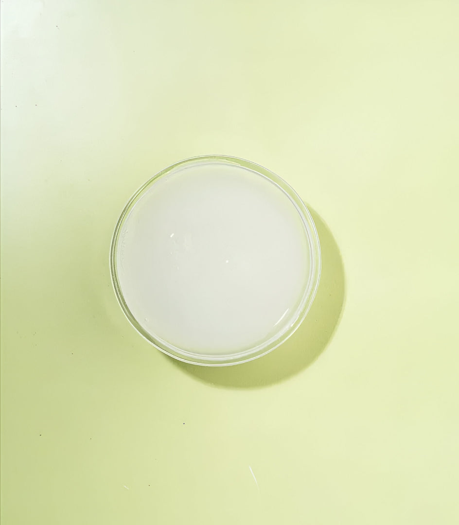 Coconut Milk Cleansing Bar
